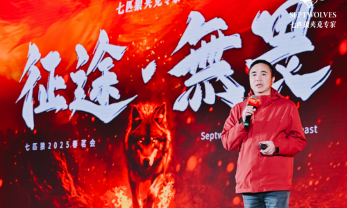 七匹狼是什么牌子？品质与创新并驱的时尚品牌